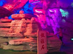 -贝壳梦幻世界