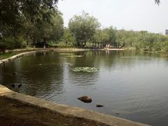 -前关湿地公园