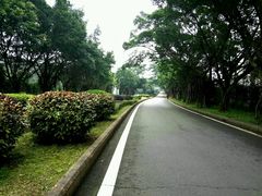 -福建鲤鱼洲酒店