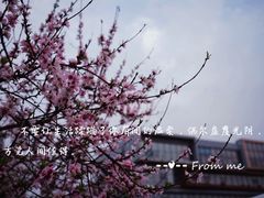 -木渎影视城