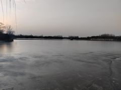 -大兴滨河森林公园