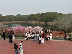 -艾溪湖湿地公园