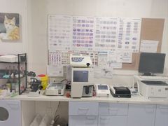 -守诺宠物医院·眼科· 特色牙科·异宠专科(虹口店)