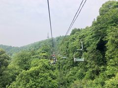 -MAMACHA妈妈茶(岳麓山店)