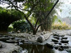 -成都市活水公园