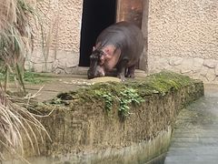 -南昌动物园