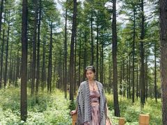 -塞罕坝国家级自然保护区