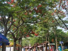 -白沙门生态公园
