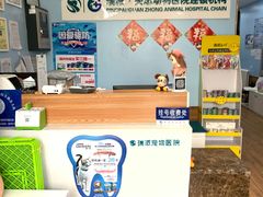 -瑞派·关忠动物医院·异宠专科·犬猫肿瘤·皮肤专科(望京店)