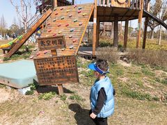 -上海长兴岛郊野公园