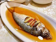 -新镇江酒家(南京西路店)