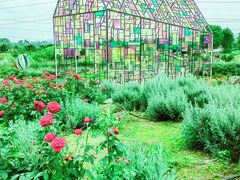 -紫颐香薰山谷景区