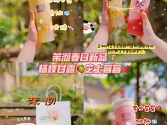 -茉沏(光启城店)