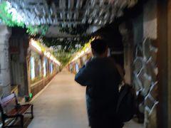 -青岛葡萄酒博物馆