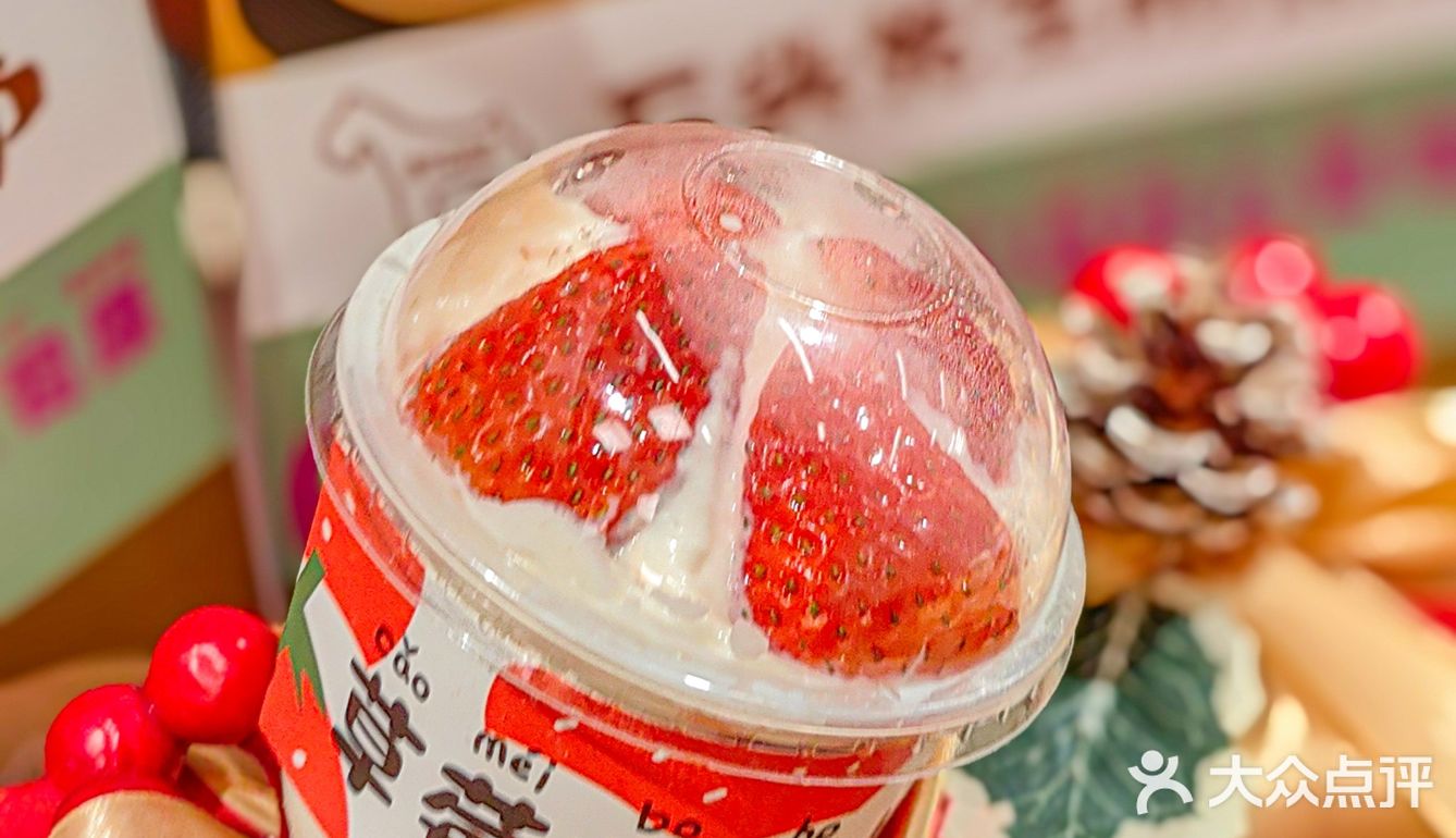 面包之光的风吹来了普陀