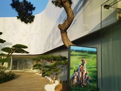 -罗红摄影艺术馆