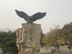 -北京鹫峰国家森林公园