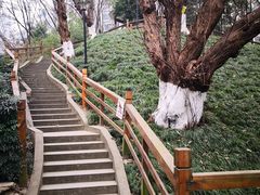 -温江公园