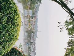 -美的鹭湖森林度假区