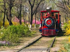 -永定河休闲森林公园