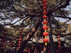 -京东石林峡风景区