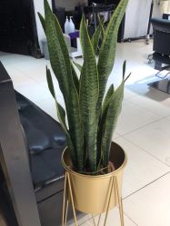 -LJOY丽锦造型·烫发染发