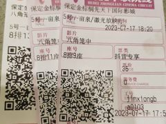 -保定金棕榈先天下国际影城(LUXE)