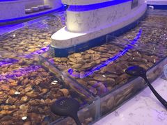 -澜悦港海鲜体验主题餐厅