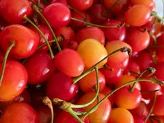 -东方鼎信农副产品交易中心