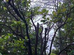 -红瓜子 影视后期 摄影摄像设计 新媒体运营技能培训(宝安校区)