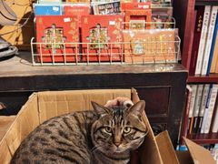 -正阳书局(西四南大街店)