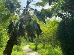 -桤木河湿地公园