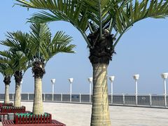 -宁波海天一洲景区