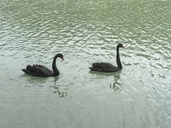 -广州白江湖森林公园