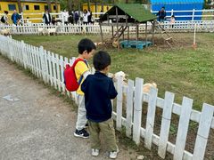 -前小桔亲子创意农场·草莓采摘·露营烧烤