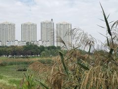 -砂之船奥特莱斯(合肥店)