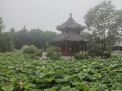 -莲池书院博物馆