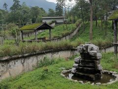-中国大熊猫保护研究中心雅安碧峰峡基地