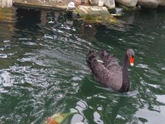 -湖鲜楼