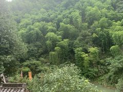 -将军关探险漂流