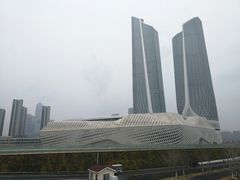 -南京眼步行桥