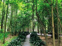 -东湖落雁景区