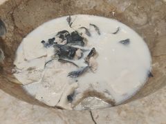 -众品蒸汽石锅坊