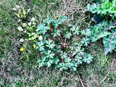 -中国天府农业博览园