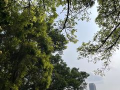 -晓港公园