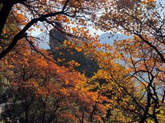 -秦岭终南山世界地质公园翠华山景区