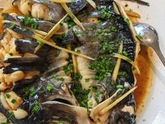 -生态苑农庄(十里画廊遇龙河店)