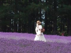 -富田农场