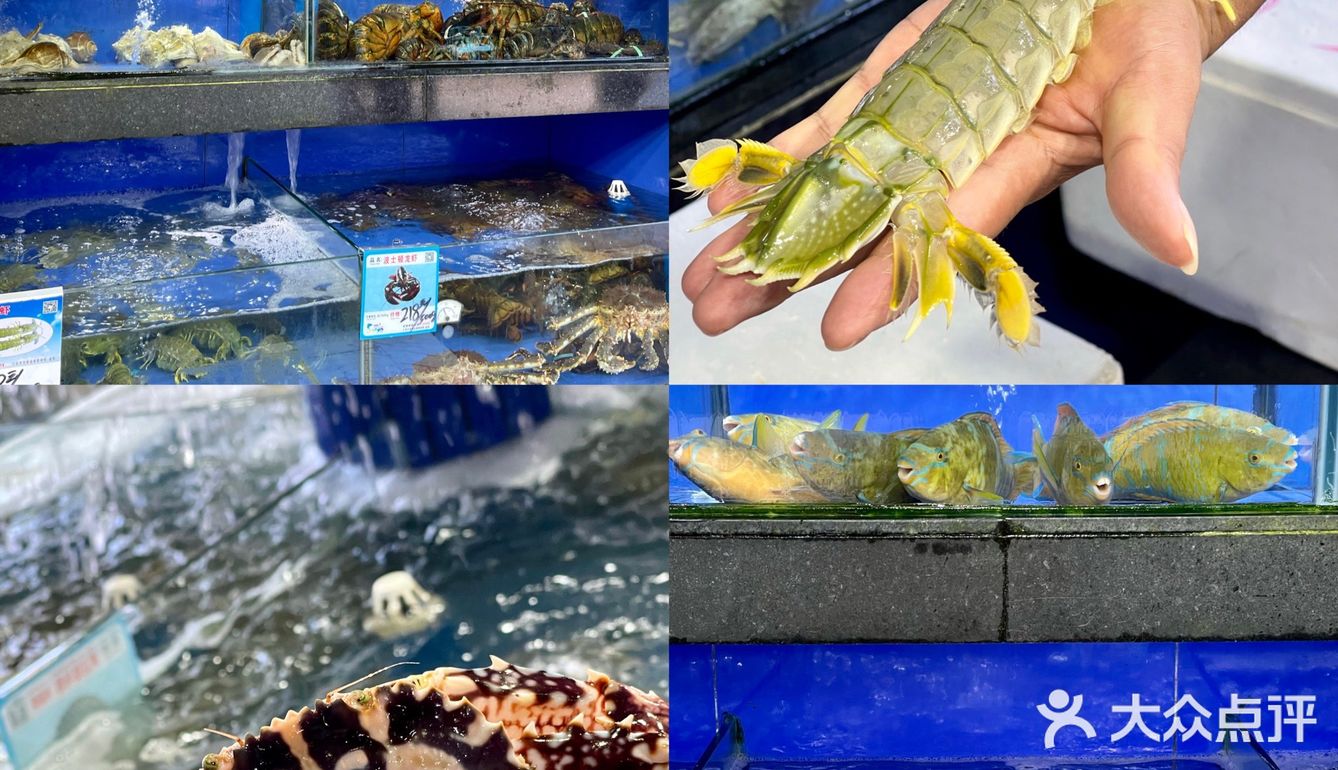 三亚｜吃海鲜就到这里😋好吃服务还超赞[强]