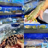 三亚｜吃海鲜就到这里😋好吃服务还超赞[强]